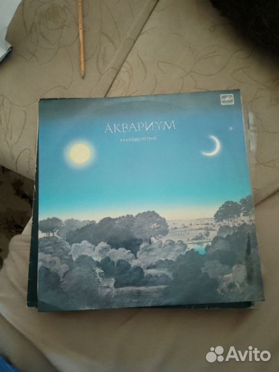 Виниловые пластинки