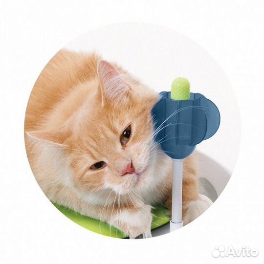 Hagen Catit Senses Comfort Zone Комплекс