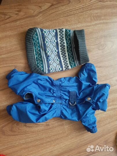 Одежда для собак