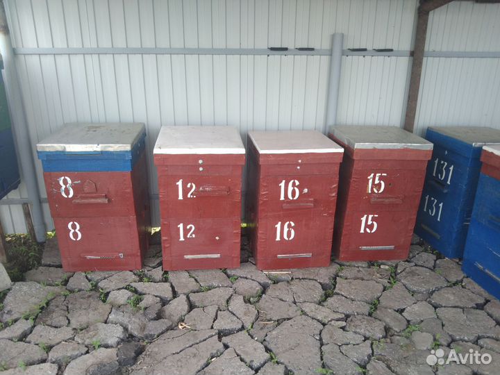 Улей для пчел