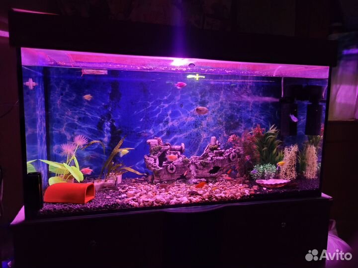 Аквариум