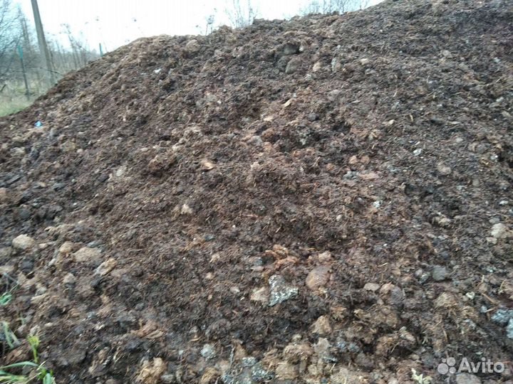 Конский Перегной навоз