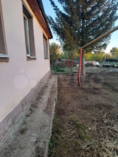 Дом 80 м² на участке 50 сот.