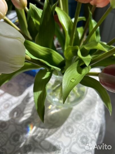 Искусственные растения, тюльпаны, орхидеи