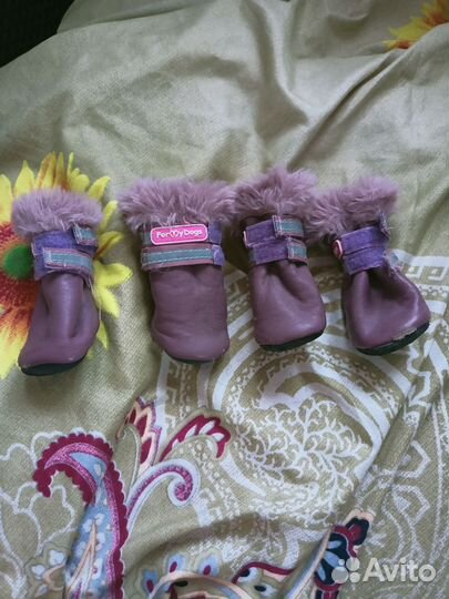 Ботинки для собак