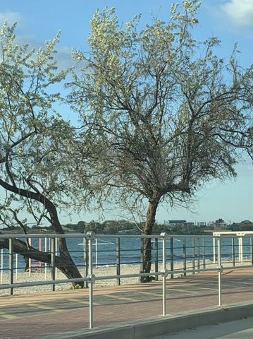 Участок 15 га (СНТ, ДНП)