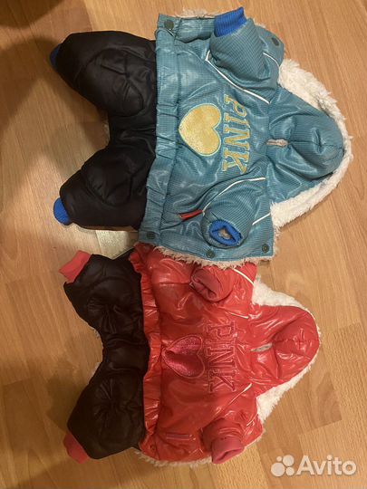 Костюм для собаки