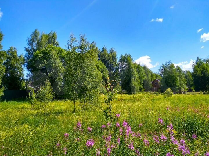 Участок 20 сот. (СНТ, ДНП)