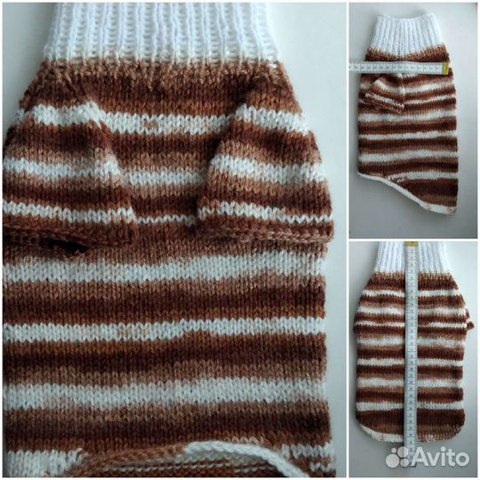 Одежда для собак