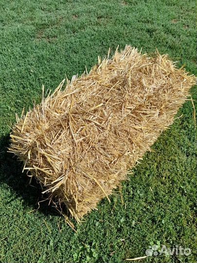 Солома пшеничная, ячменная, овсяная
