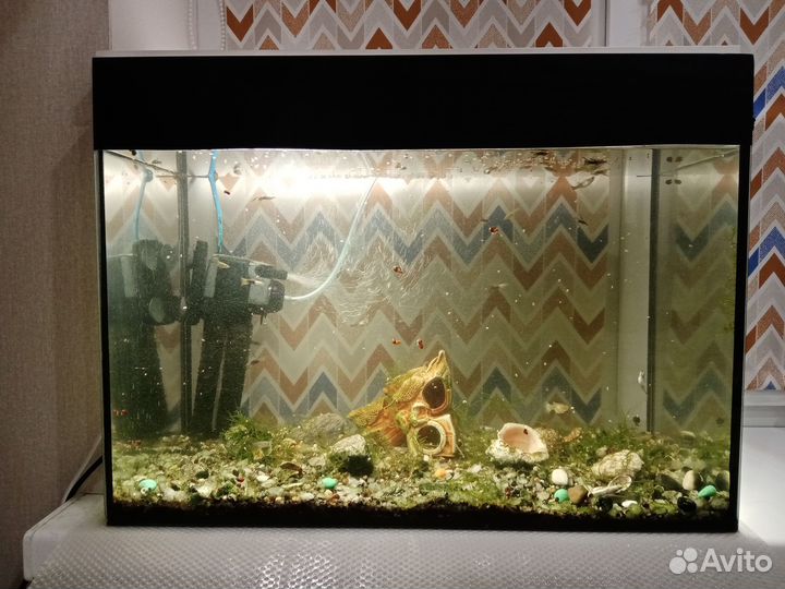 Аквариум 50 л с рыбками и принадлежностями