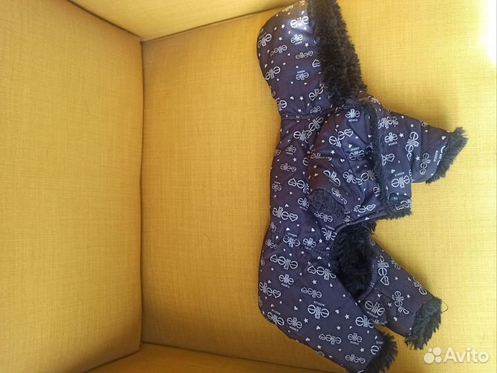 Одежда для маленьких собак