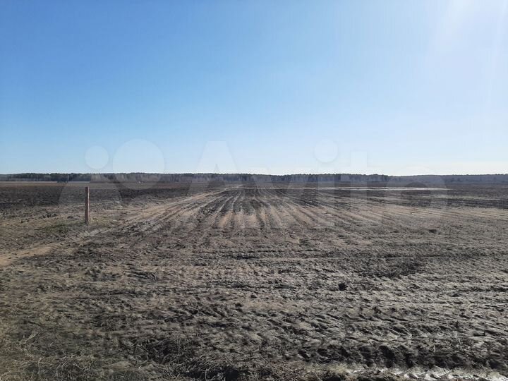 Участок 3,5 га (СНТ, ДНП)