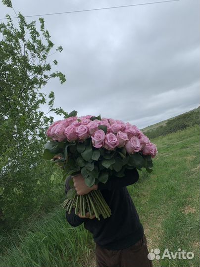 101 роза за 4000 доставка