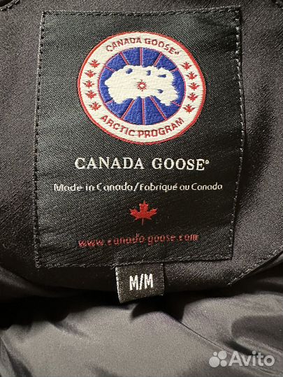 Canada goose chilliwack bomber