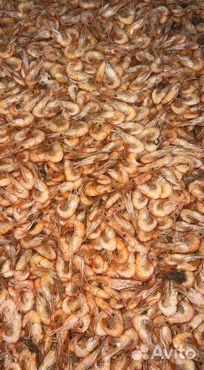 Креветка азовская