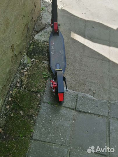 Самокат взрослый