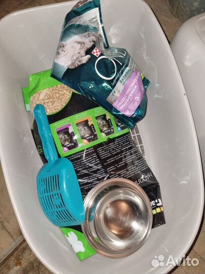 Переноска и кошачий лоток