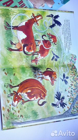 Детские книги от 1 года, красивые иллюстрации