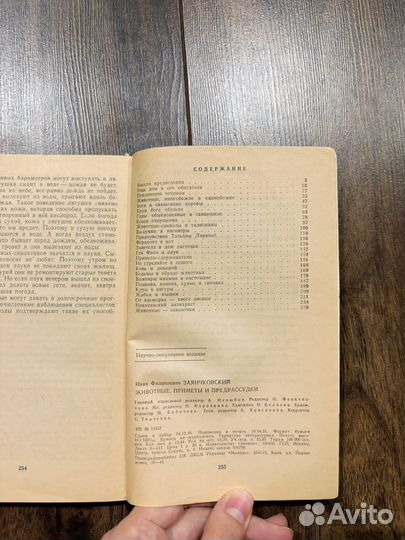 Животные приметы и предрассудки книга о суевериях