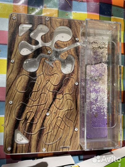 Муравьиная ферма AntPlanet