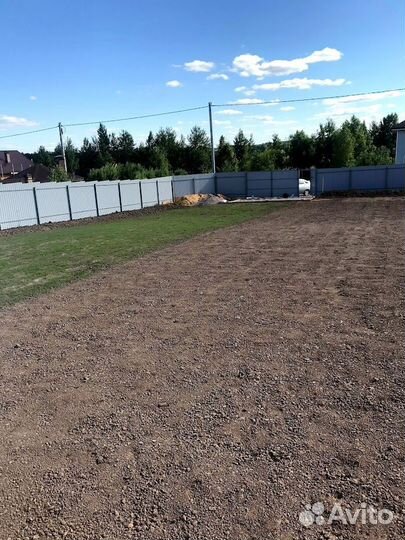 Посевной газон. Озеленение участка