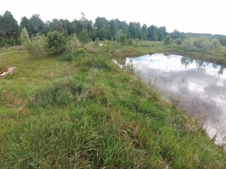 Участок 4,13 га (ИЖС)