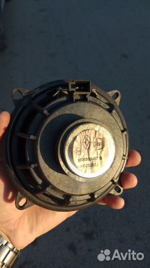 Динамики Renault 8200309487 B