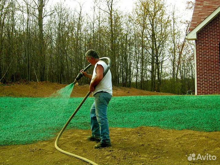 Гидропосев газона