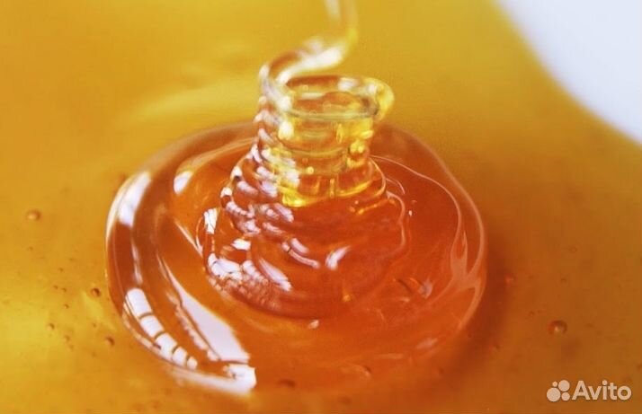 Мед натуральный алтайский опт минимально 16 кг