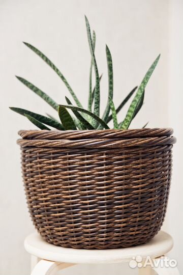 Кашпо горшок для цветов