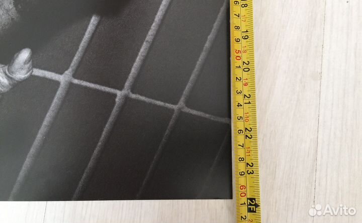 Плакат Red Hot Chilly Peppers 2022