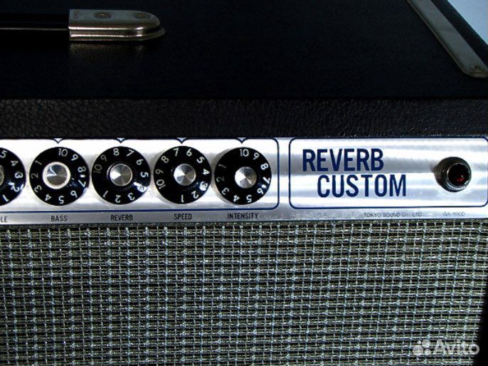 Guyatone custom reverb ga-1100d, (twin reverb)