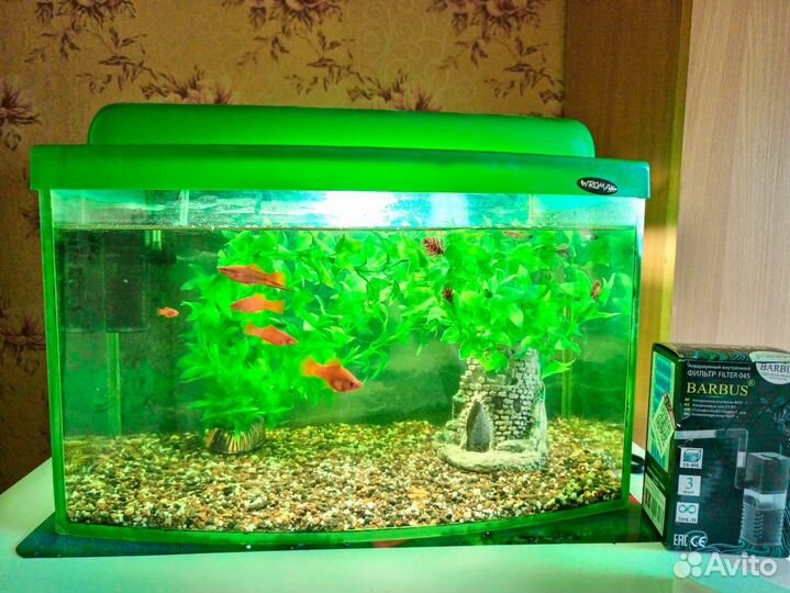 Аквариум с рыбками