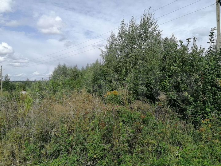 Участок 15 сот. (ИЖС)