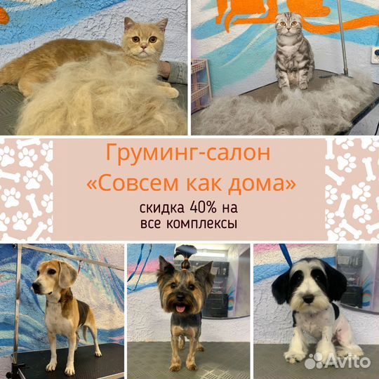 Груминг Стрижка собак/кошек в салоне