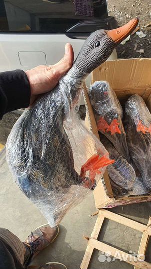 Махокрыл электрический, приманка с пультом