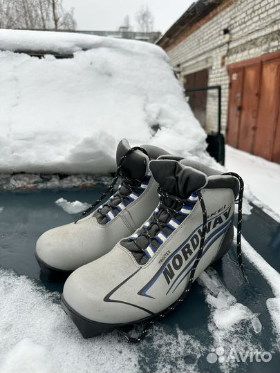 Беговые лыжи