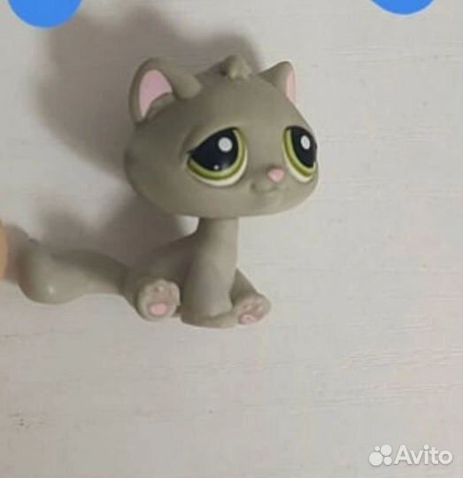 LPS тебби кет