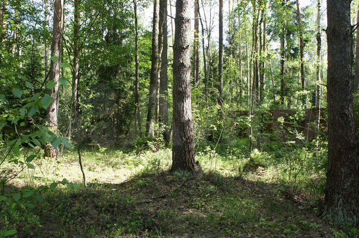 Участок 52,4 сот. (ИЖС)