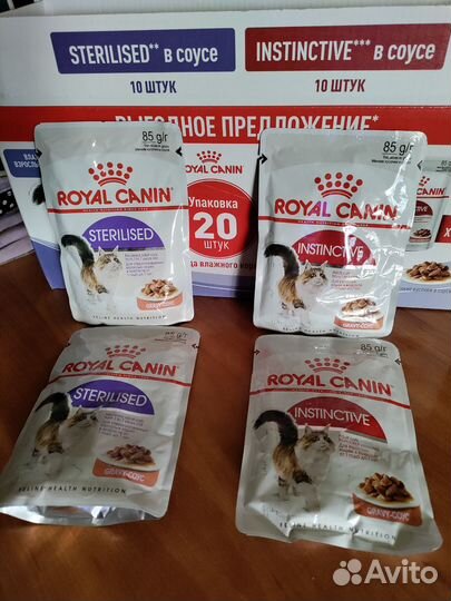 Royal Canin влажный корм для кошек