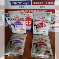 Royal Canin мультипак 20 влажный корм для кошек