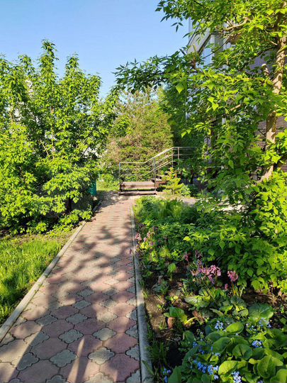 Офис, 17.1 м² (мокрая точка, первая линия)