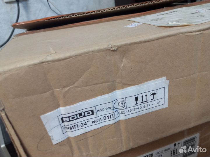 Рип 24 исп.01п