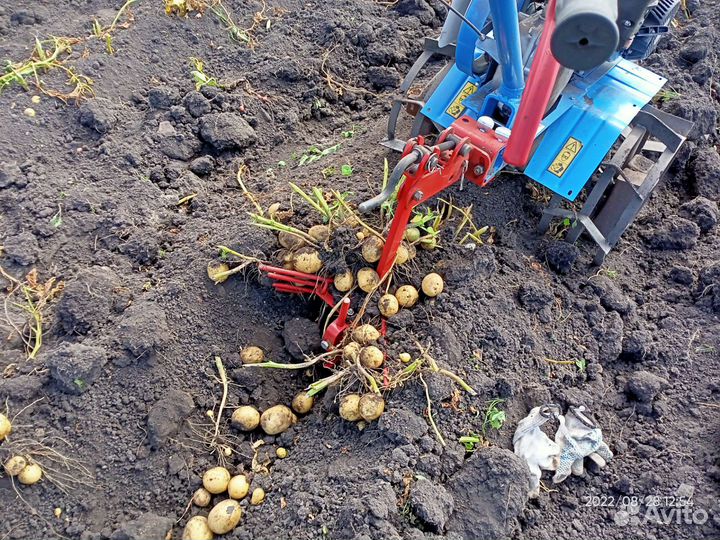 Вспашка мотоблоком