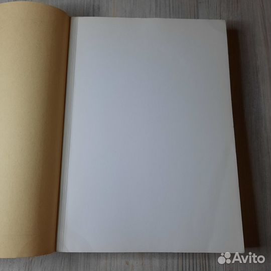 Политика и управление обществом в Габсбургской мон