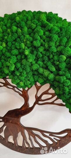 Картина из стабилизированного мха