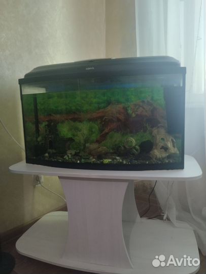 Аквариум с тумбой