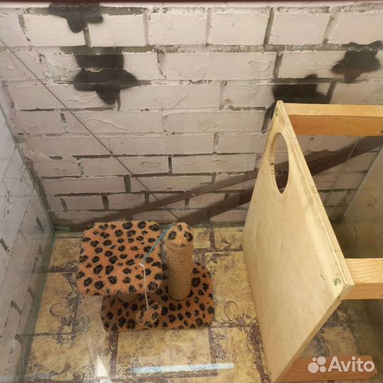 Вольер/террариум для домашних животных