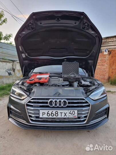 Эндоскопия цпг/катализатора